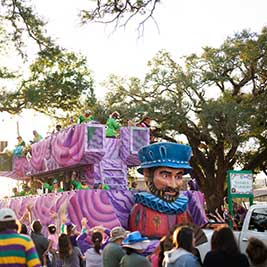 mardi gras throws houma