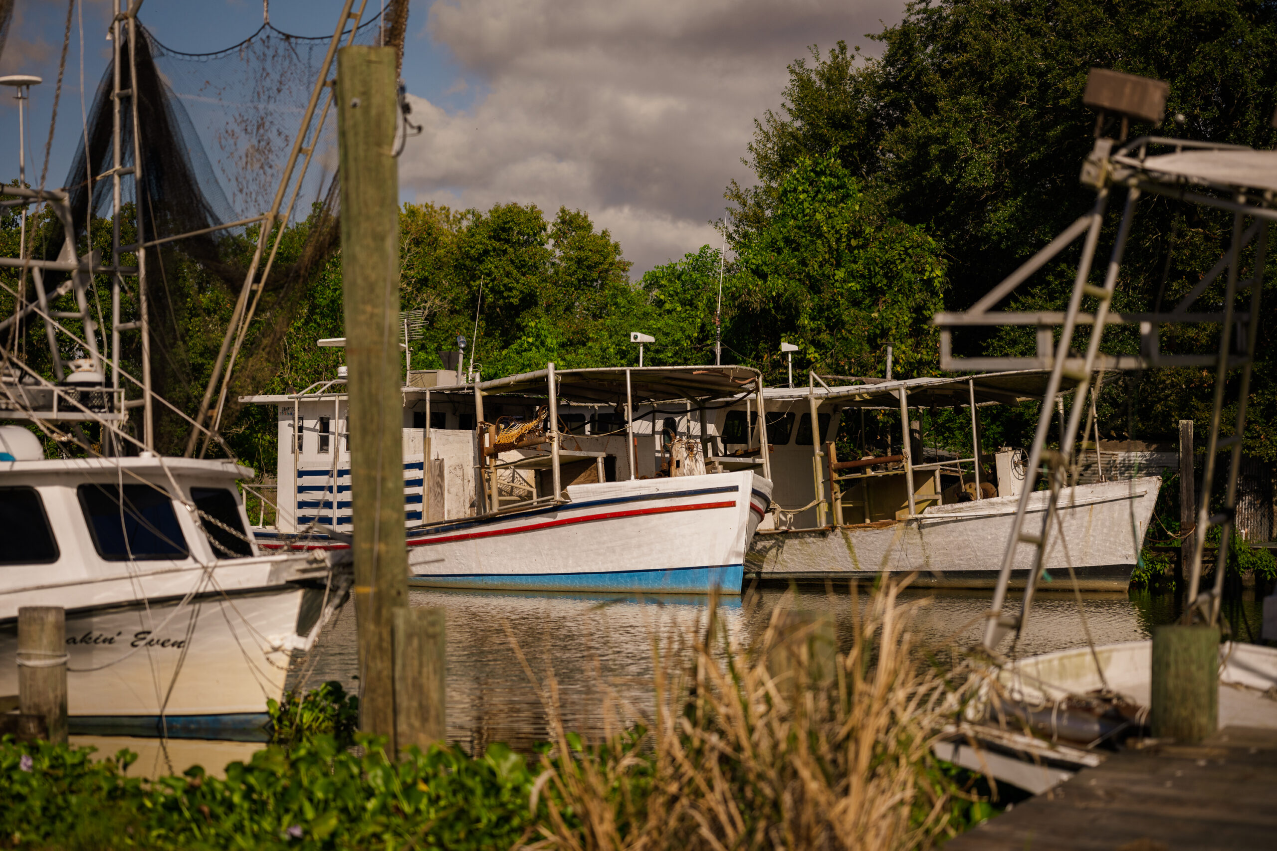 Books for the Bayou