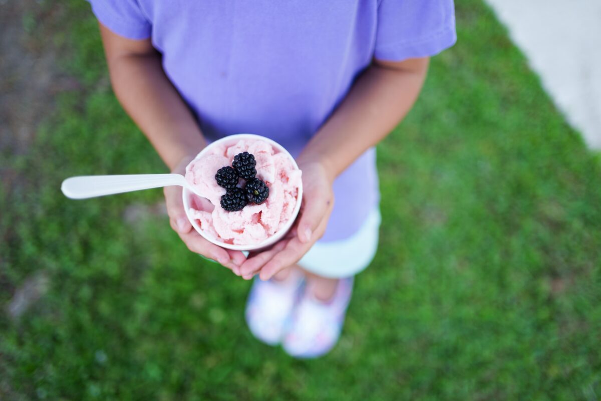 Louisiana Blackberry Festival