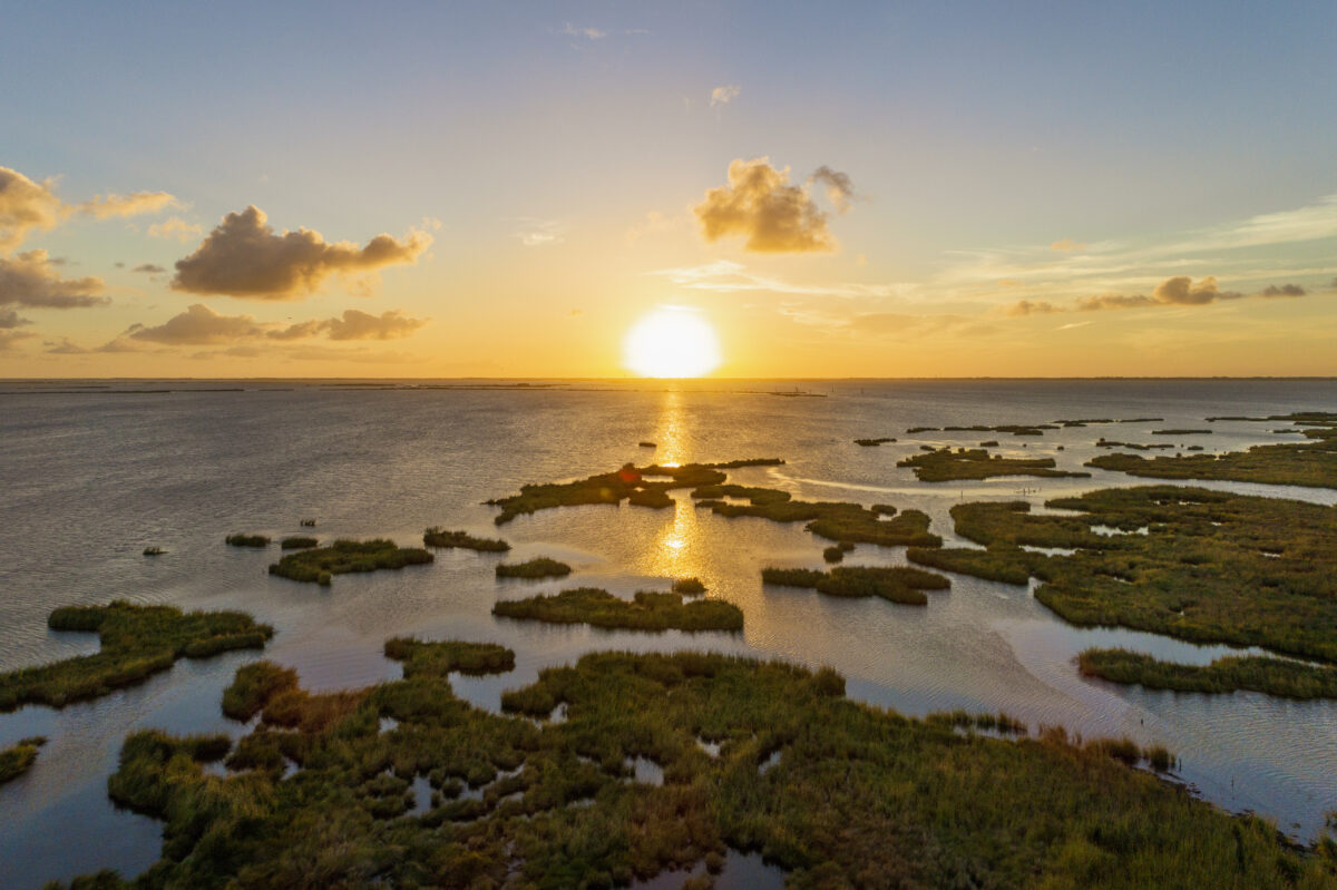 Tourism Economic Impact