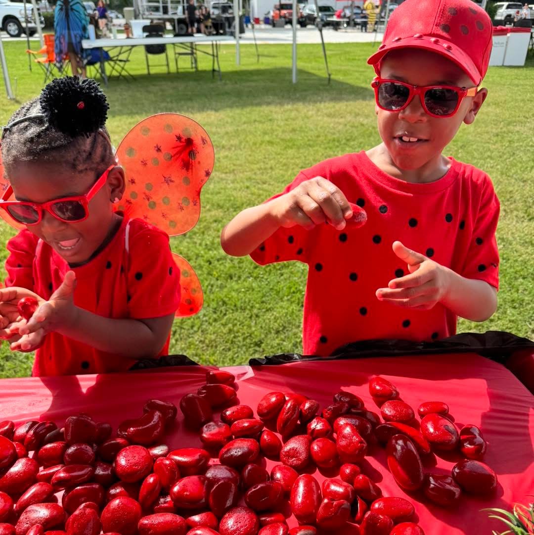 Ladybug Ball Festival
