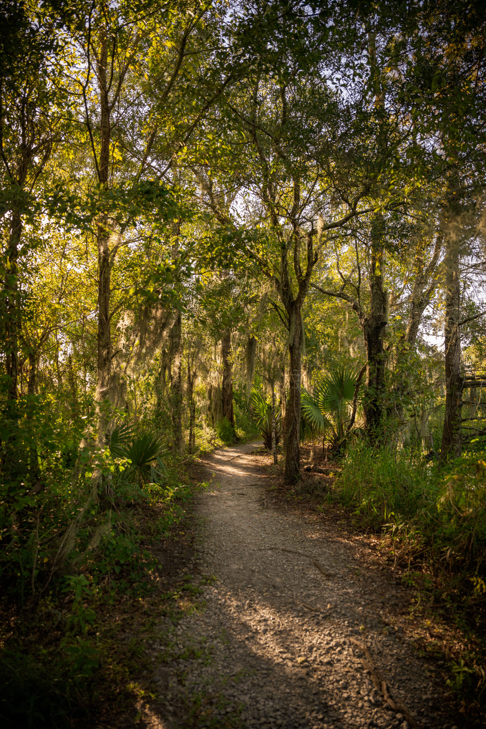 Seek Outdoors!